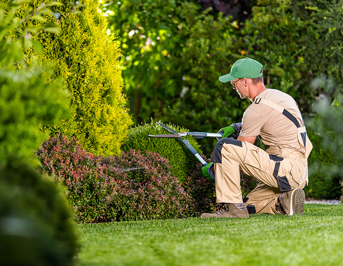 beautifully-maintained